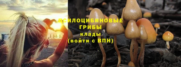 меф Балахна