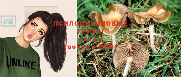 MESCALINE Баксан