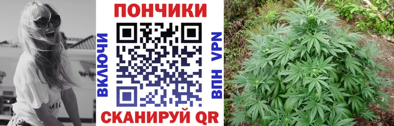 Марихуана планчик Болхов